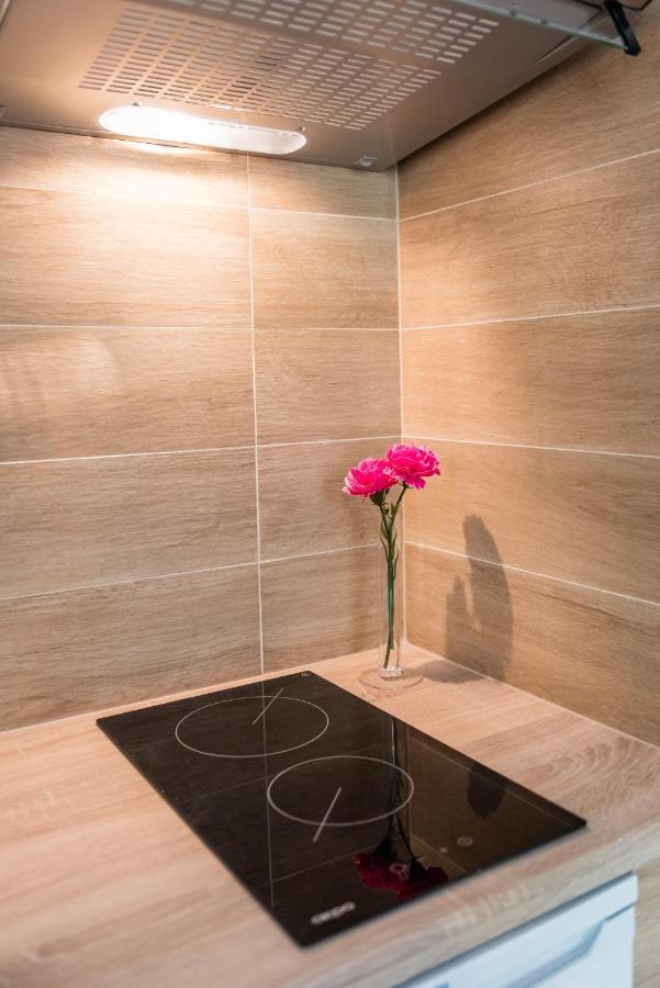 Zelazna Apartment Wawelofts Krakow Luaran gambar